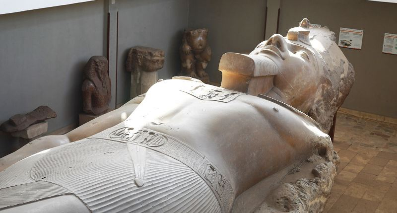 Ancient Egypt dynasty